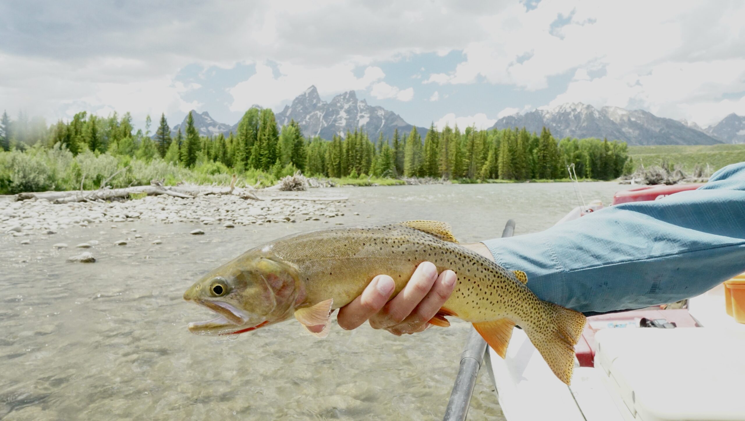 Guided Fishing Trips Jackson Hole